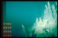 Campagne GEOCYATHERM - Site hydrothermal inactif avec des cheminées mortes