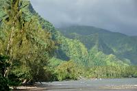 Végétation luxuriante sur le littoral de Tahiti (série 1/2)