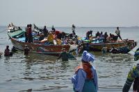 Scène de retour de pêche au Sénégal