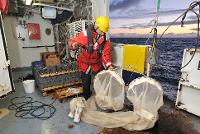 Campagne IBTS 2010 - Mise à l'eau du filet "Bongo" pour la capture du zooplancton 
