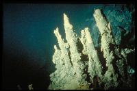 Campagne NAUTILAU - Fumeurs hydrothermaux