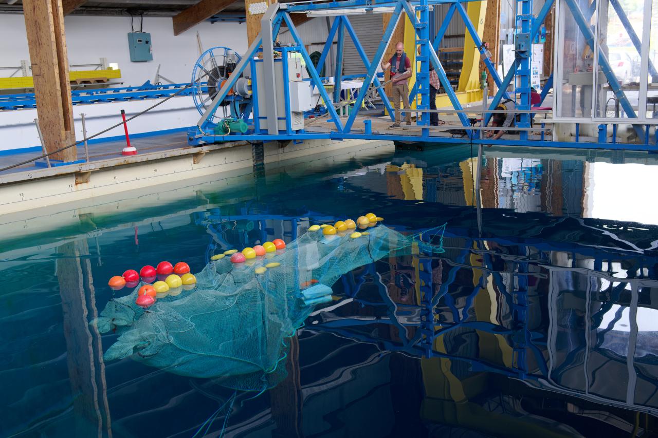 Des filets de pêche lumineux pour améliorer la sélectivité