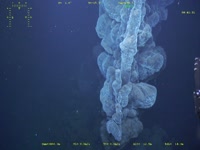 Biodiversité et paysages sous-marins des sites hydrothermaux TAG et Snake Pit
