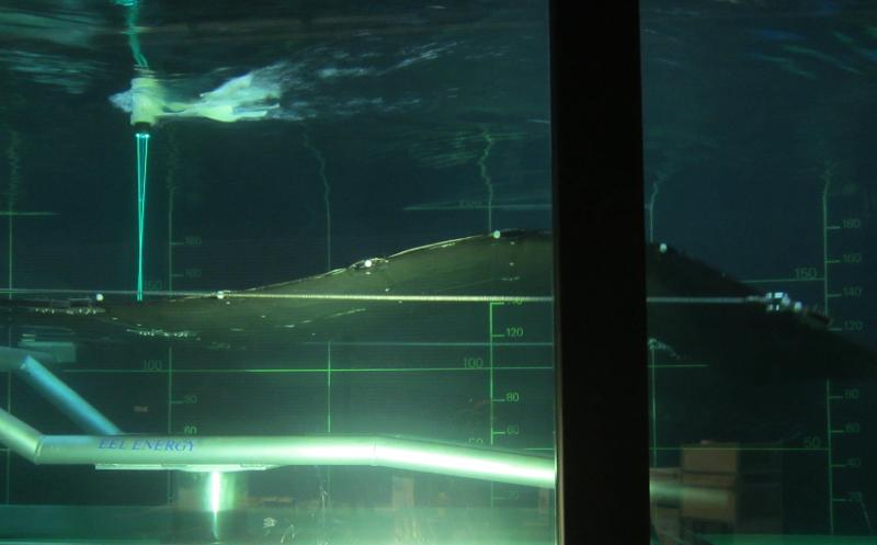 Photo 35053