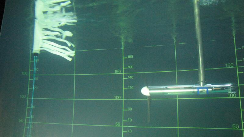 Photo 35243