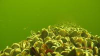 Photo 42764
