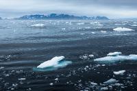 Dans les eaux de l'Atlantique Nord, au sud du Groenland