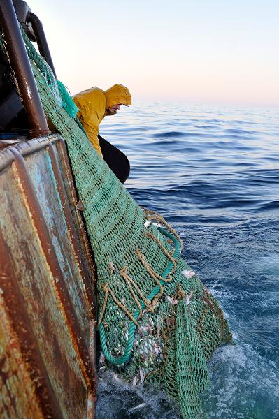 Relevé Du Chalut De Fond Filet Plein à Bord Du Précurseur 3634