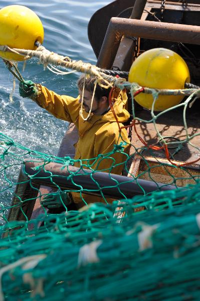 Pêcheur Au Chalut De Fond à Bord Du Précurseur Série 24 2534