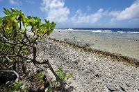 Paysage de l'atoll de Hao (série 2/3)