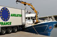 Déchargement de la cargaison de pêche dans le camion frigorifique