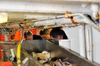 Pêcheurs au tri de la pêche du jour à bord du chalutier Le Précurseur