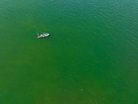 Phénomène d'eau colorée verte en baie de Vilaine - Prélèvements et échantillonnage d'eau depuis le zodiac