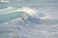 Formation d'une vague déferlante lors d'une tempête en Bretagne