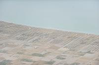 Paysage façonné par l'ostréiculture - Parc ostréicole au bord de la Seudre