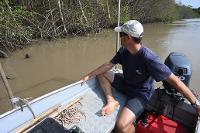 Navigation le long de la mangrove (rivière de Montsinéry, Guyane)